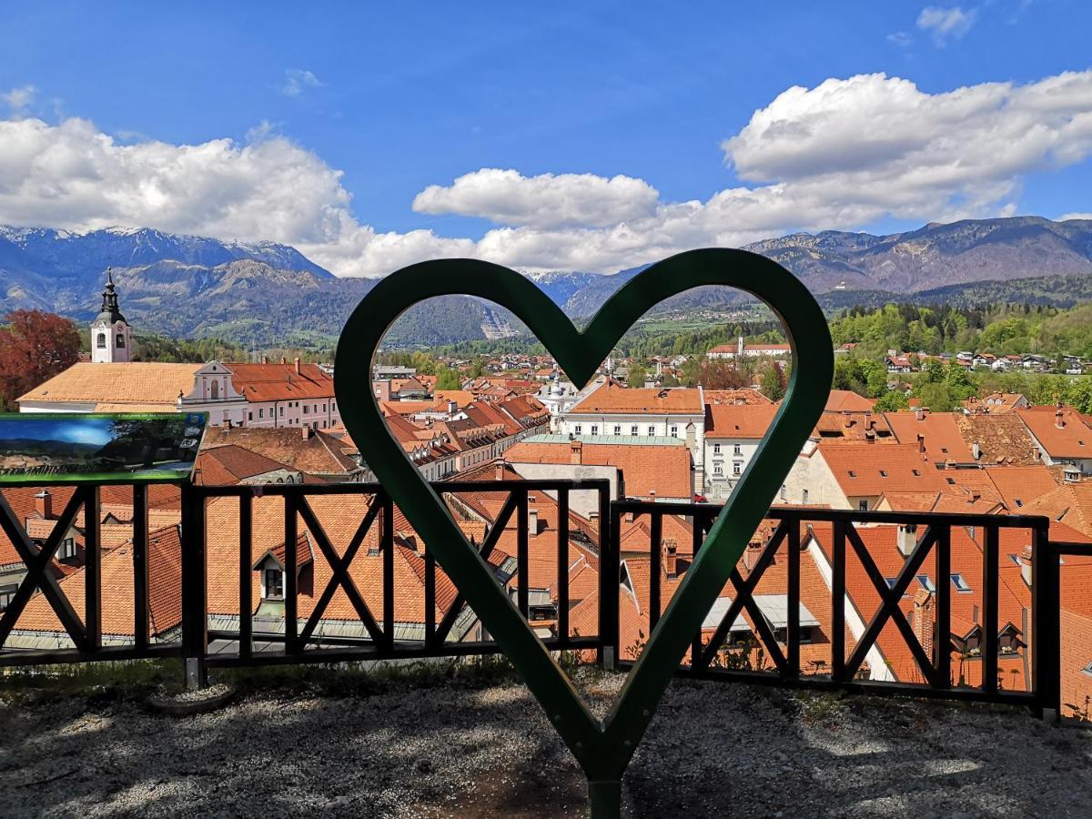 Apartma Tanja -Kamnik Buitenkant foto