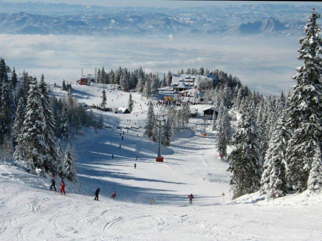 Apartma Tanja -Kamnik Buitenkant foto