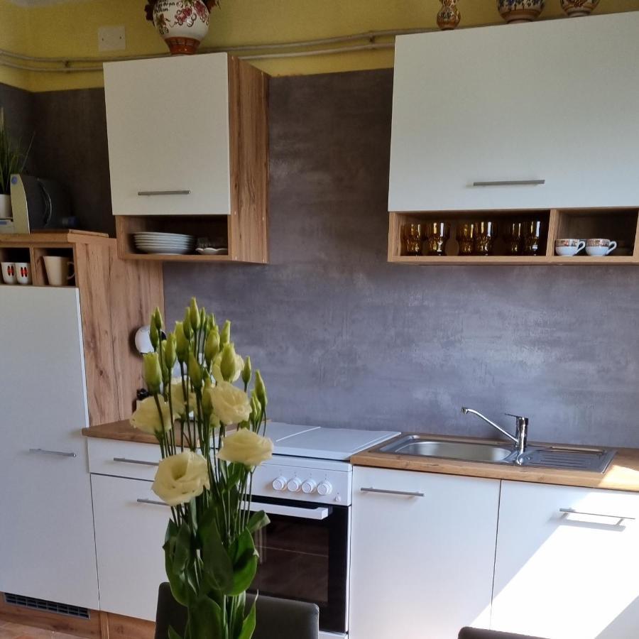 Apartma Tanja -Kamnik Buitenkant foto